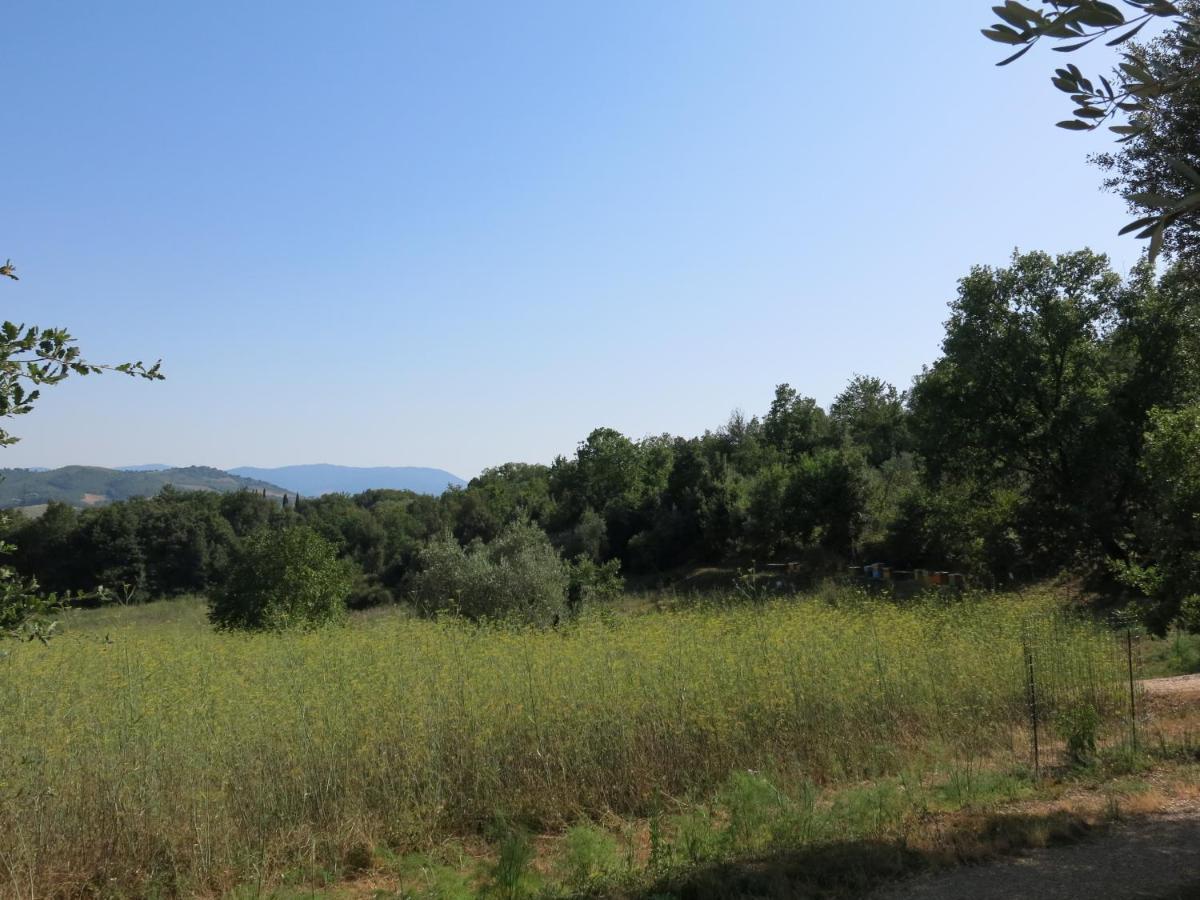 Agriturismo Alchimista Casole d'Elsa Exterior photo